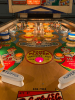 Image # 75684: Big Top Playfield View