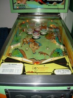 Image # 32520: Big Valley Playfield