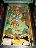 Image # 46720: Big Valley Playfield 
(Serial number 3495.)
