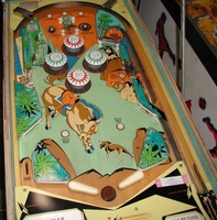 Image # 23673: Big Valley Playfield