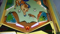 Image # 65862: Big Valley German Lower Playfield 
(Serial number 1795.)