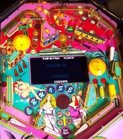 Image # 27538: Caribbean Cruise Playfield