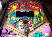 Image # 27539: Caribbean Cruise Playfield