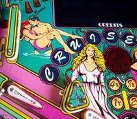 Image # 27543: Caribbean Cruise Playfield - Detail