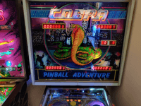 Image # 77960: Cobra Illuminated Backglass - Pinball Adventure Version 
(The cabinet art has a blue background instead of red.)