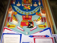 Image # 39494: Black Flag Lower Playfield