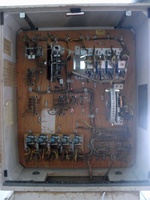 Image # 69266: Black Gold Inside Backbox 
(Serial number 228307.)