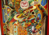 Image # 71594: Evil Fight Middle Playfield 
(The hole from one of two missing star rollover inserts can be seen in this image.)