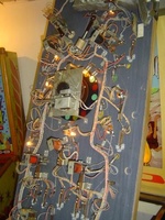 Image # 36633: hairy-SINGERS Under Playfield