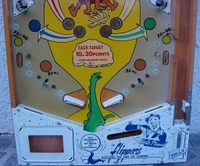 Image # 42267: hairy-SINGERS Stripped Lower Playfield
