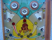 Image # 42266: hairy-SINGERS Stripped Middle Playfield