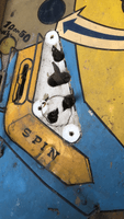 Image # 82659: hairy-SINGERS Alternate Playfield - Modification Visible