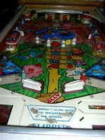 Image # 36342: Happy Papeete Playfield