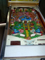 Image # 36341: Happy Papeete Playfield