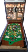 Image # 68677: Hockey Girl Illuminated Backbox Insert and Stripped Playfield 
(Serial number 619 22 18 5.)