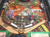 Image # 15382: Blackbelt Lower Playfield