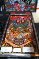 Image # 35859: Blackbelt Playfield 
(This is a regular production game.)