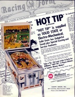 Image # 4586: Hot Tip Flyer