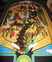 Image # 46358: Mac Jungle Playfield