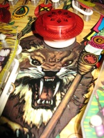 Image # 46361: Mac Jungle Playfield - Detail