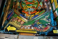 Image # 53914: Blackwater 100 Elevated Lower Playfield
