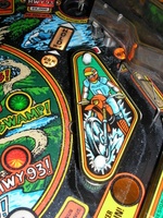Image # 33971: Blackwater 100 Playfield - Detail