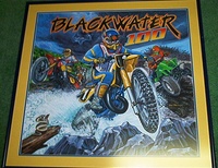 Image # 62299: Blackwater 100 Original Backglass Artwork 
(Artist is Tony Ramunni.Paint on artist's board.Approximate dimensions 25 by 26 inches.Metal frame is 30 by 31 inches.)