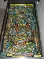 Image # 16877: Blackwater 100 Playfield