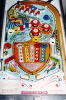 Image # 6185: Blue Ribbon Playfield