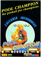 Image # 3420: Pool Champion English Flyer - Front