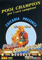 Image # 44949: Pool Champion Flyer - Front