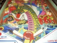Image # 30580: Sea Scare Lower Playfield