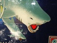 Image # 22312: Shark Backglass - Detail