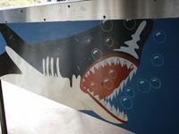 Image # 22318: Shark Cabinet - Right