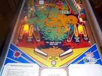 Image # 23312: Nautilus Lower Playfield