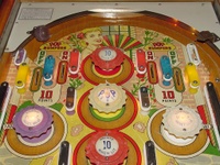 Image # 10585: Miss Annabelle Upper Playfield