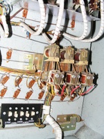 Image # 64263: Miss Universo (3 Ladies) Inside Backbox - Lower Left 
(A braided string has been tied to a relay, likely as a temporary solution to a repair issue.)