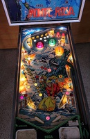 Image # 59411: Monte Rosa Illuminated Playfield
