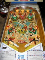Image # 28263: Bonanza Illuminated Playfield