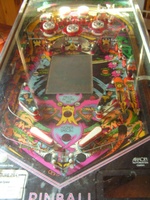 Image # 30065: Magic Picture Pin Playfield