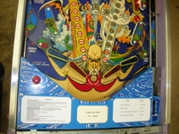 Image # 56464: Time Machine Lower Playfield 
(Serial number F/124.136.)