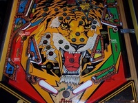 Image # 25681: Tiger Rag Lower Playfield
