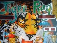 Image # 56958: Tiger Rag Backglass - Detail