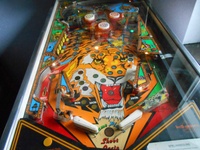 Image # 56959: Tiger Rag Playfield