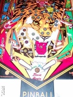 Image # 10051: Tiger Rag Lower Playfield