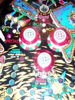 Image # 10053: Tiger Rag Upper Playfield - Detail