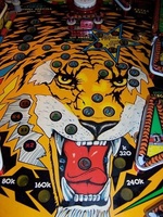 Image # 25679: Tiger Rag Lower Playfield