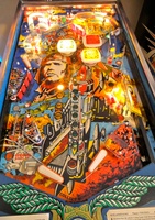 Image # 51420: The Raid Illuminated Playfield
