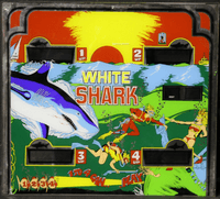 Image # 77169: White Shark Backglass