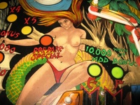 Image # 46328: Zira Playfield - Detail